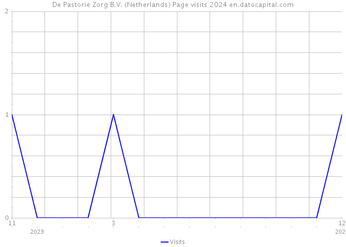 De Pastorie Zorg B.V. (Netherlands) Page visits 2024 
