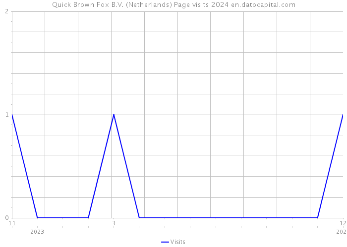 Quick Brown Fox B.V. (Netherlands) Page visits 2024 