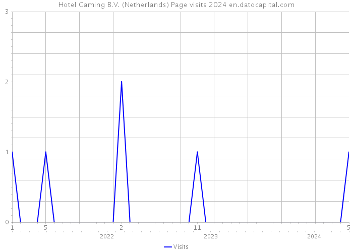 Hotel Gaming B.V. (Netherlands) Page visits 2024 