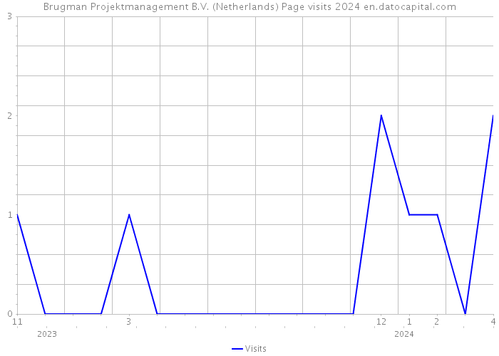Brugman Projektmanagement B.V. (Netherlands) Page visits 2024 