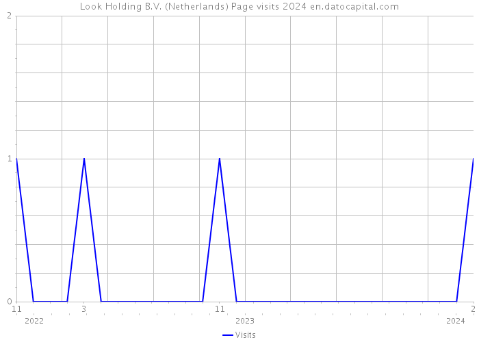 Look Holding B.V. (Netherlands) Page visits 2024 