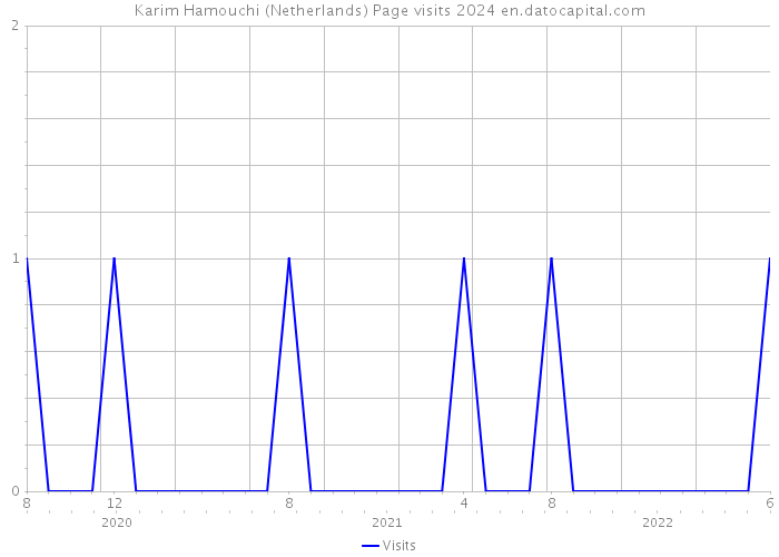 Karim Hamouchi (Netherlands) Page visits 2024 