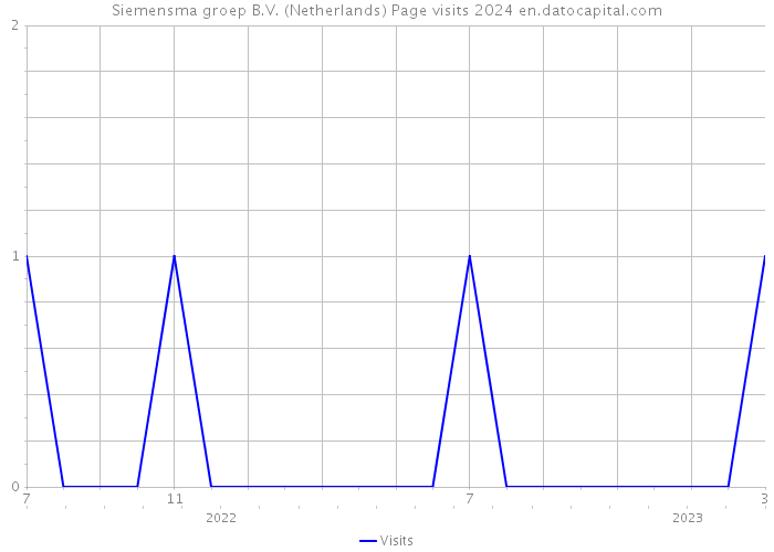 Siemensma groep B.V. (Netherlands) Page visits 2024 