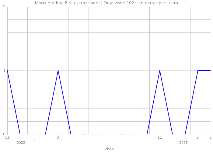 Maris Holding B.V. (Netherlands) Page visits 2024 