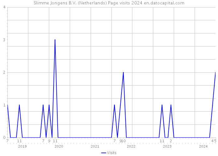 Slimme Jongens B.V. (Netherlands) Page visits 2024 
