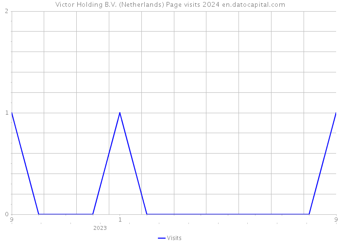 Victor Holding B.V. (Netherlands) Page visits 2024 