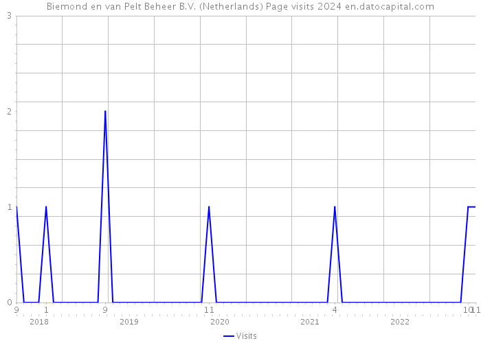Biemond en van Pelt Beheer B.V. (Netherlands) Page visits 2024 