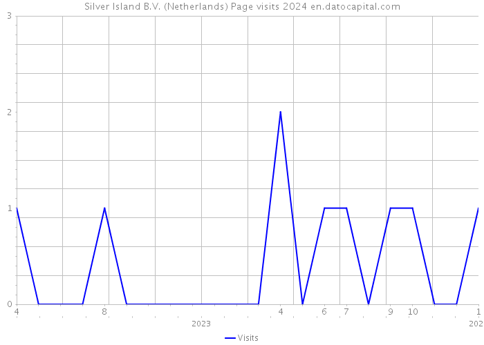Silver Island B.V. (Netherlands) Page visits 2024 