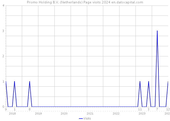 Promo Holding B.V. (Netherlands) Page visits 2024 