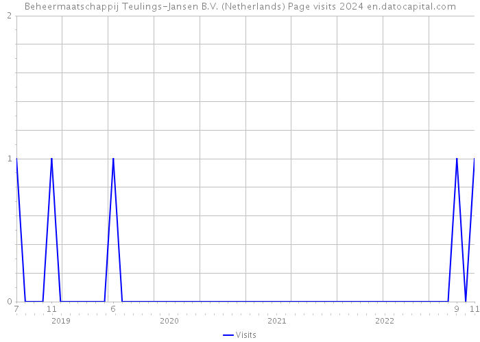 Beheermaatschappij Teulings-Jansen B.V. (Netherlands) Page visits 2024 