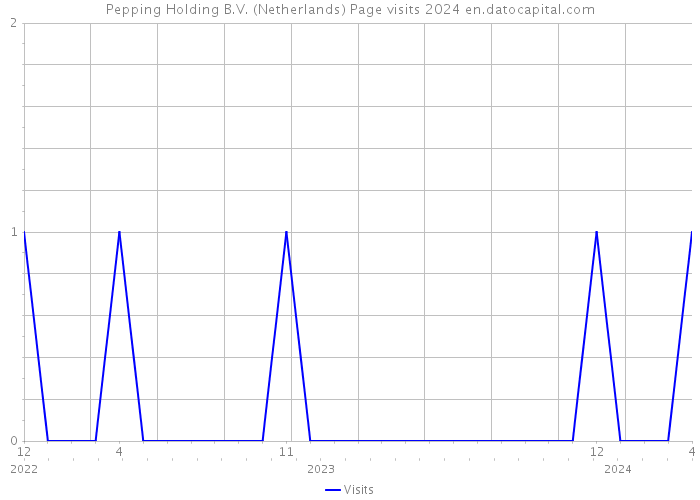 Pepping Holding B.V. (Netherlands) Page visits 2024 