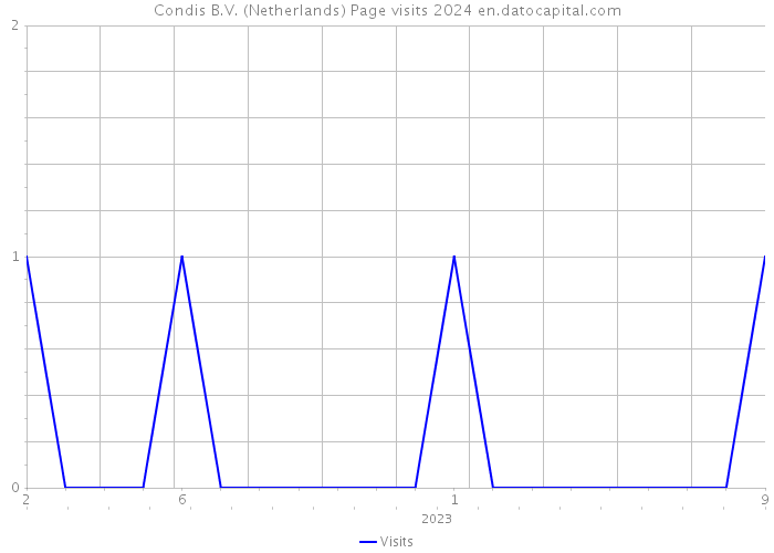 Condis B.V. (Netherlands) Page visits 2024 