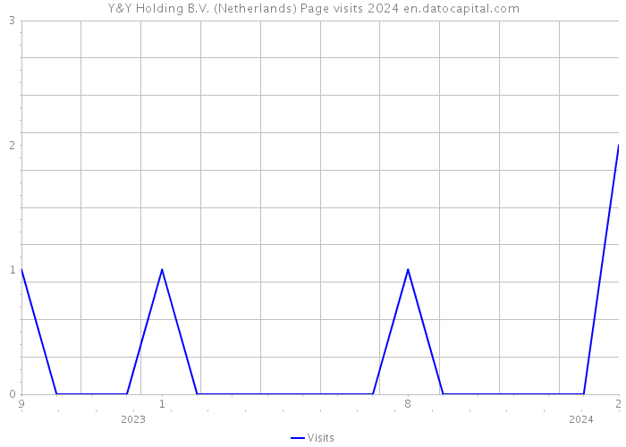Y&Y Holding B.V. (Netherlands) Page visits 2024 