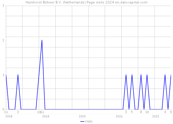 Hulshorst Beheer B.V. (Netherlands) Page visits 2024 