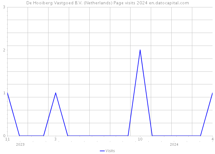 De Hooiberg Vastgoed B.V. (Netherlands) Page visits 2024 
