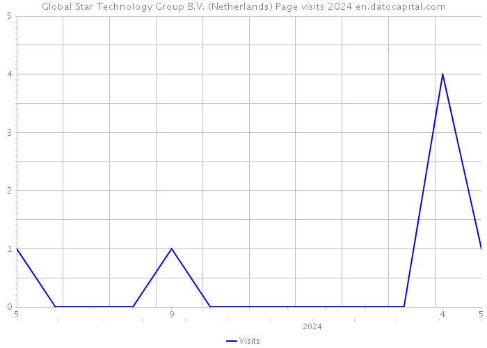 Global Star Technology Group B.V. (Netherlands) Page visits 2024 