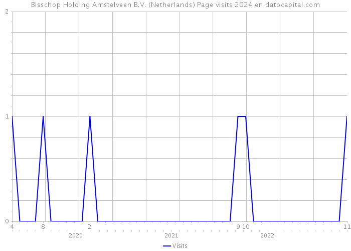 Bisschop Holding Amstelveen B.V. (Netherlands) Page visits 2024 