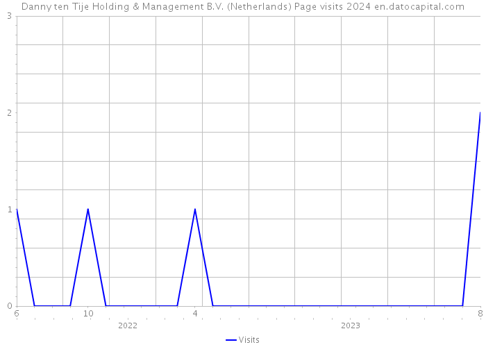 Danny ten Tije Holding & Management B.V. (Netherlands) Page visits 2024 