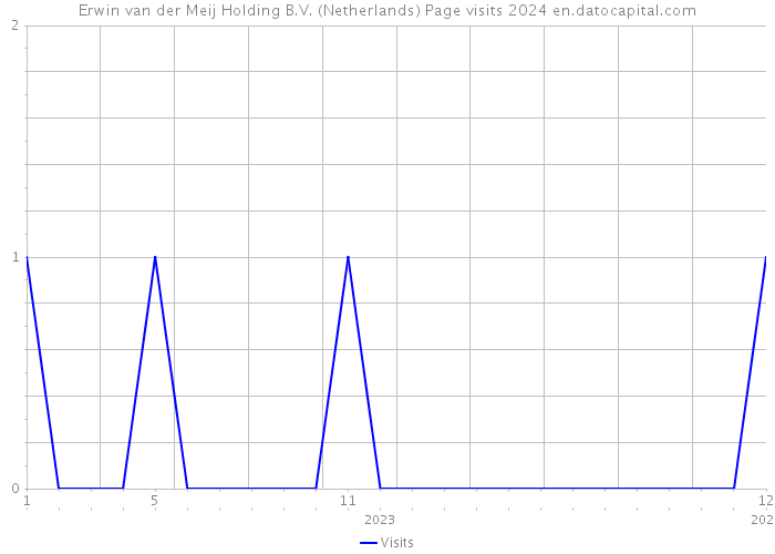 Erwin van der Meij Holding B.V. (Netherlands) Page visits 2024 
