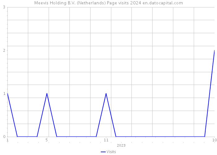 Meevis Holding B.V. (Netherlands) Page visits 2024 