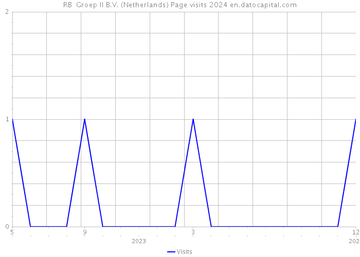 RB+ Groep II B.V. (Netherlands) Page visits 2024 