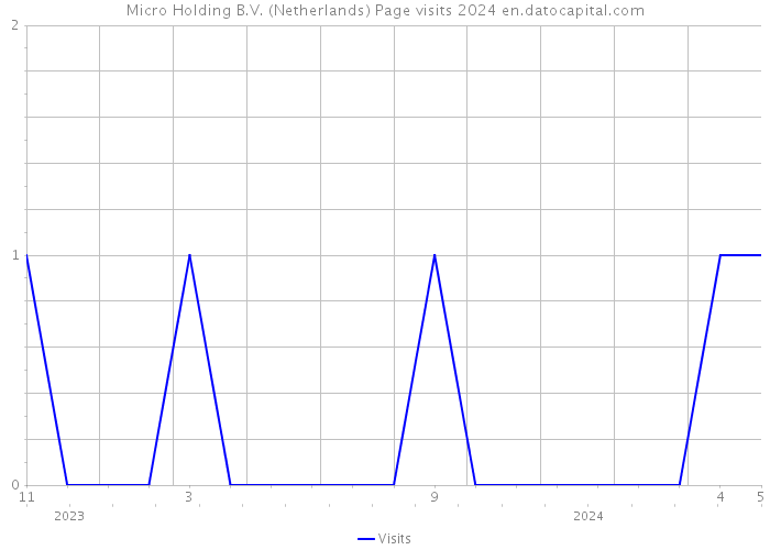 Micro Holding B.V. (Netherlands) Page visits 2024 