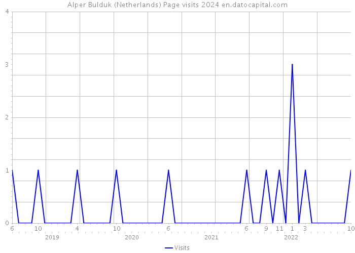 Alper Bulduk (Netherlands) Page visits 2024 
