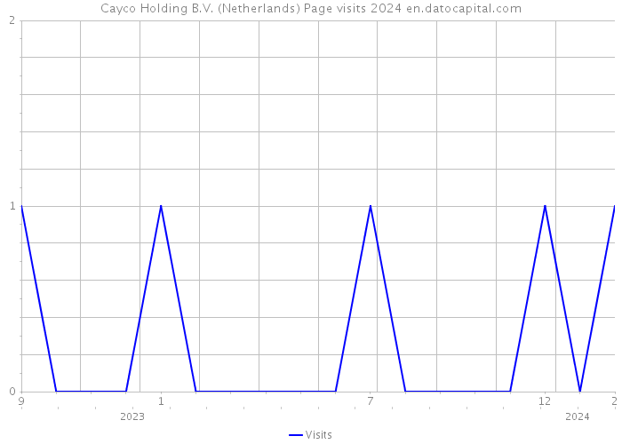 Cayco Holding B.V. (Netherlands) Page visits 2024 