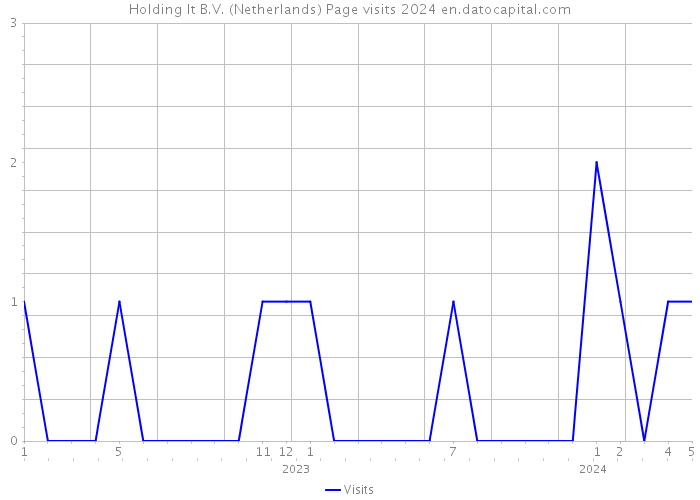 Holding It B.V. (Netherlands) Page visits 2024 