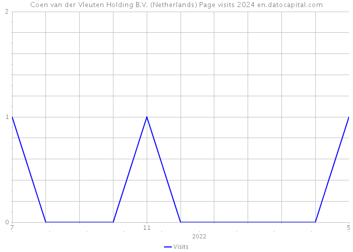 Coen van der Vleuten Holding B.V. (Netherlands) Page visits 2024 