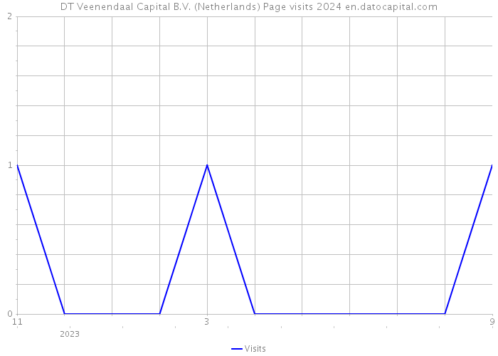 DT Veenendaal Capital B.V. (Netherlands) Page visits 2024 
