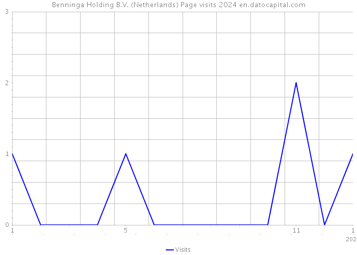 Benninga Holding B.V. (Netherlands) Page visits 2024 
