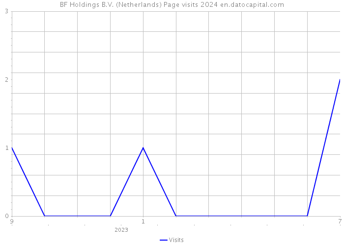 BF Holdings B.V. (Netherlands) Page visits 2024 