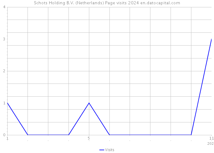 Schots Holding B.V. (Netherlands) Page visits 2024 