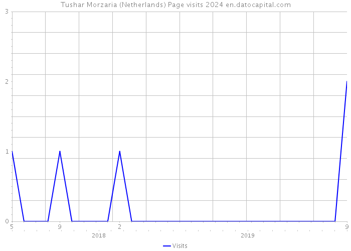 Tushar Morzaria (Netherlands) Page visits 2024 
