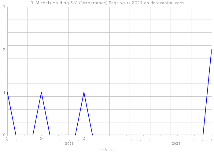 R. Michels Holding B.V. (Netherlands) Page visits 2024 