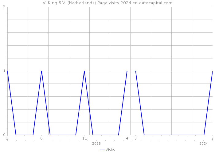V-King B.V. (Netherlands) Page visits 2024 