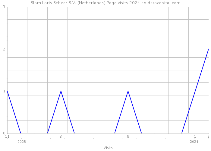 Blom Loris Beheer B.V. (Netherlands) Page visits 2024 