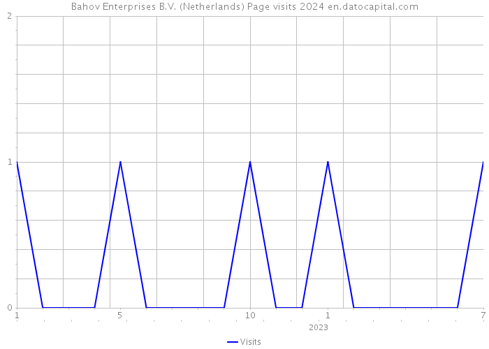 Bahov Enterprises B.V. (Netherlands) Page visits 2024 