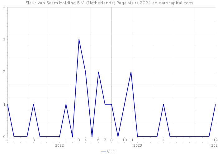 Fleur van Beem Holding B.V. (Netherlands) Page visits 2024 