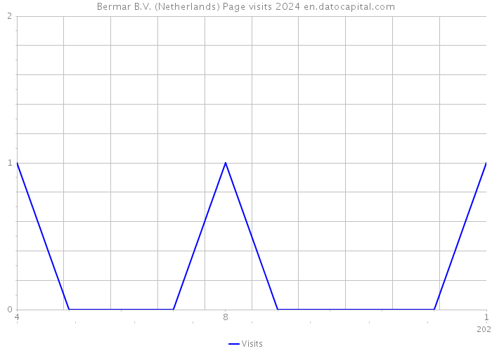 Bermar B.V. (Netherlands) Page visits 2024 