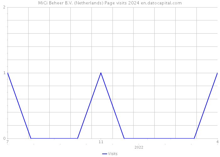 MiCi Beheer B.V. (Netherlands) Page visits 2024 