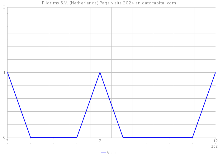 Pilgrims B.V. (Netherlands) Page visits 2024 