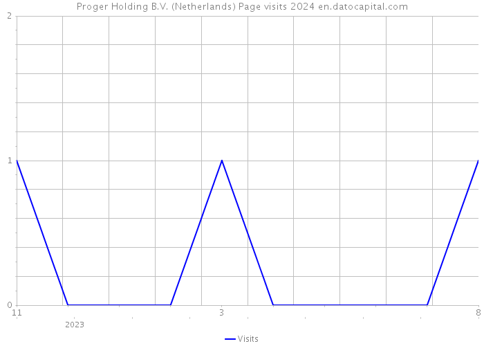 Proger Holding B.V. (Netherlands) Page visits 2024 