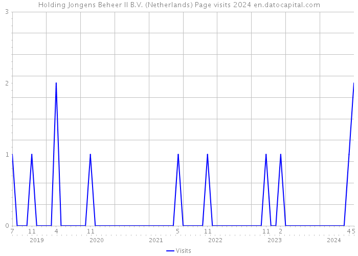 Holding Jongens Beheer II B.V. (Netherlands) Page visits 2024 