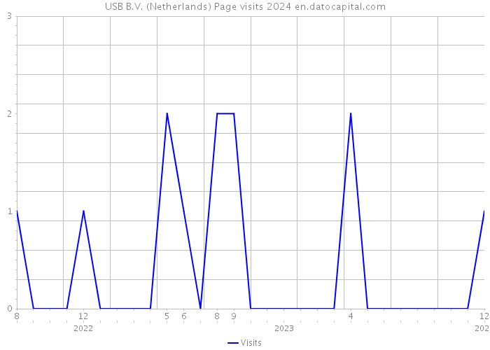USB B.V. (Netherlands) Page visits 2024 