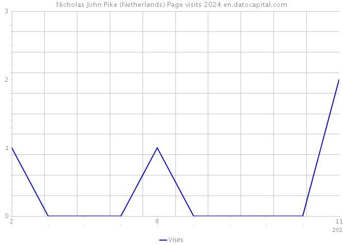 Nicholas John Pike (Netherlands) Page visits 2024 