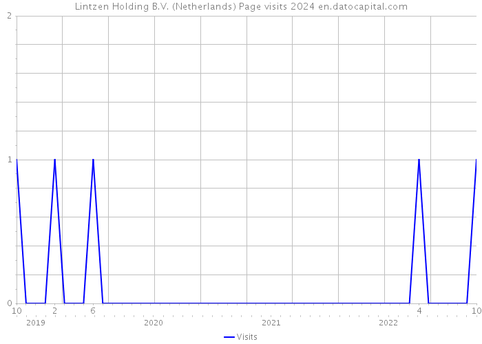 Lintzen Holding B.V. (Netherlands) Page visits 2024 