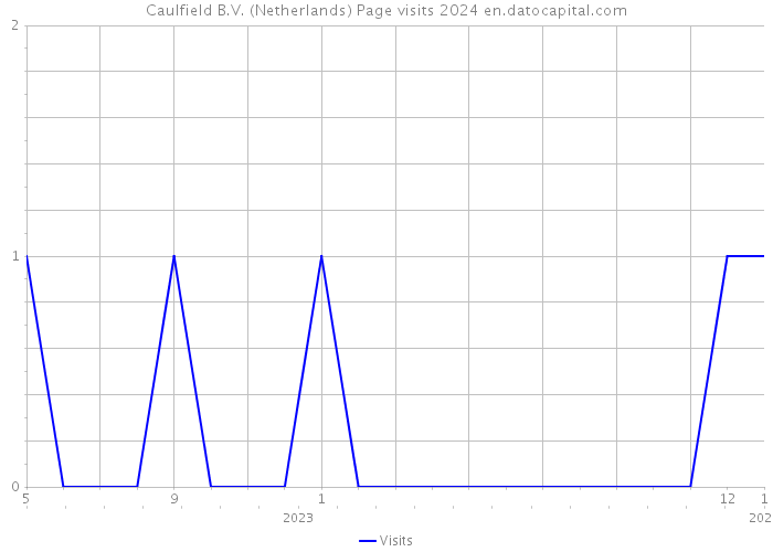 Caulfield B.V. (Netherlands) Page visits 2024 