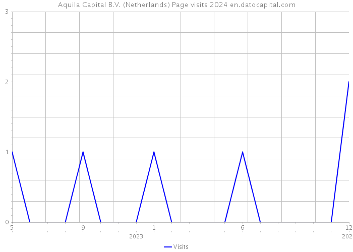 Aquila Capital B.V. (Netherlands) Page visits 2024 